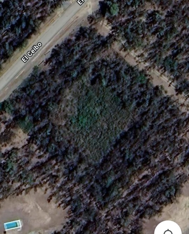 Lote Estrella Federal