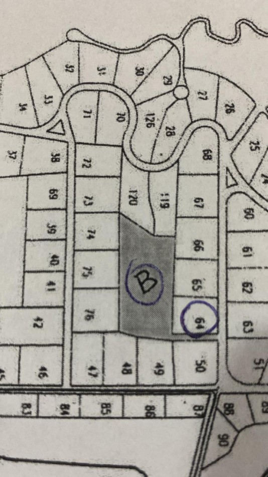 Lote Estrella Federal